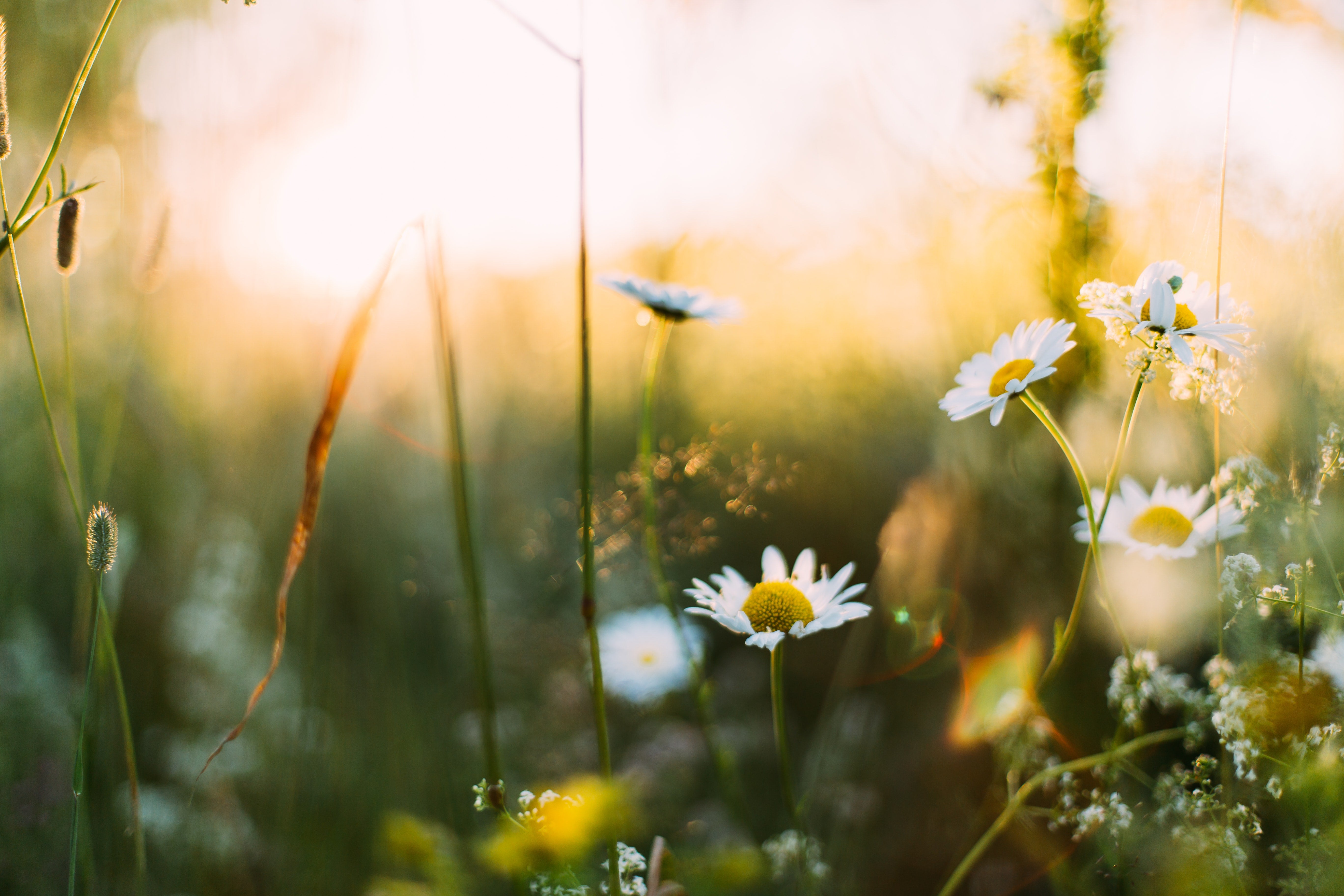 How to shake off stress for spring