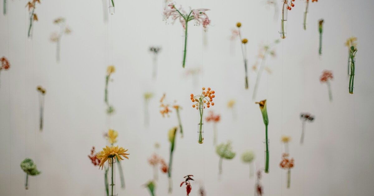 Unleash the Power of Functional Fragrances:  For Our Aromatherapy Lovers