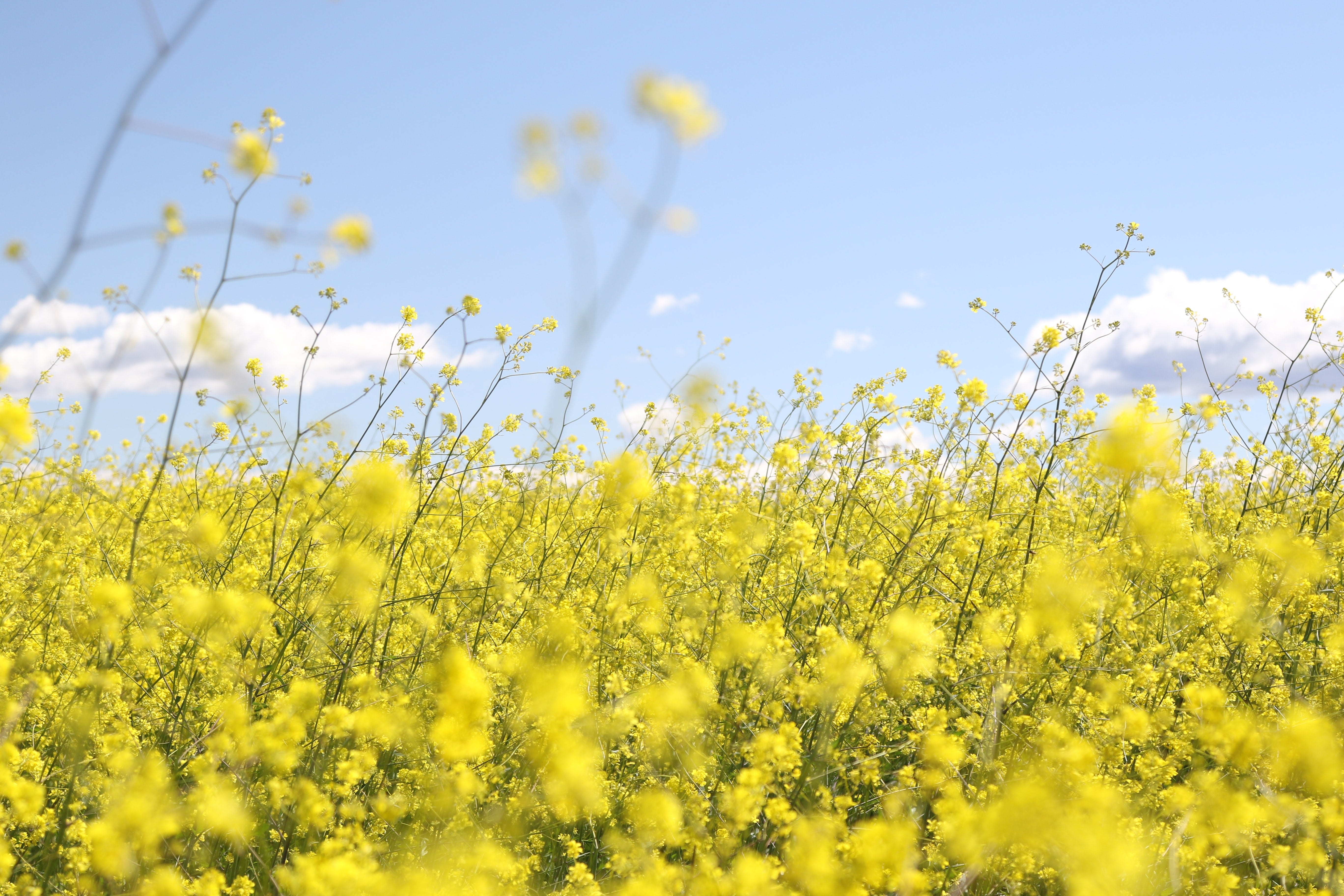 6 tips for better wellbeing in 2021