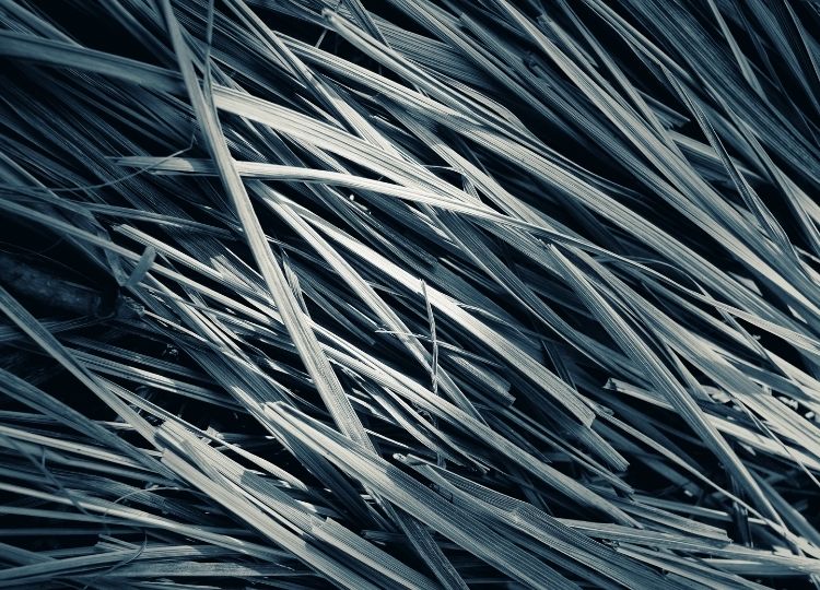 Vetiver